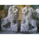 Sư tử cặp đá cẩm thạch trắng (30cm)