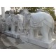 Tượng voi cặp cẩm thạch trắng 3
